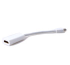 Mini Display Port (Thunderbolt) - HDMI